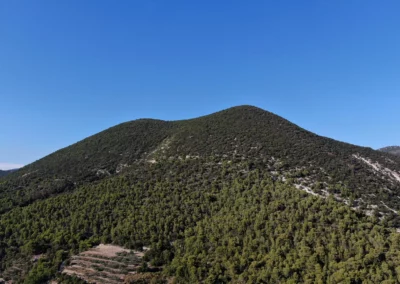 Location gîte de charme Mont-Ventoux